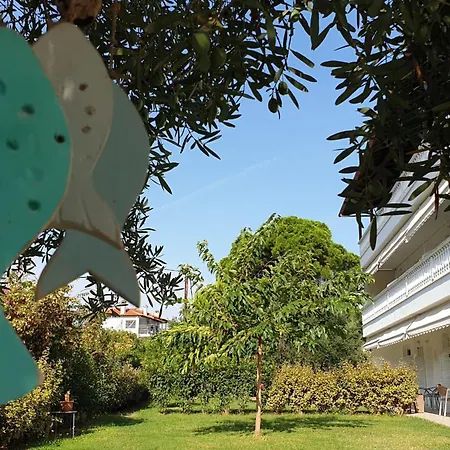 Athos Mare Aparthotel Pefkochori